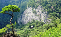 画像：鳳来寺山